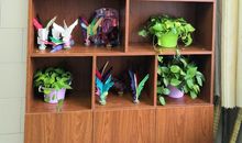 窗台上的那抹绿