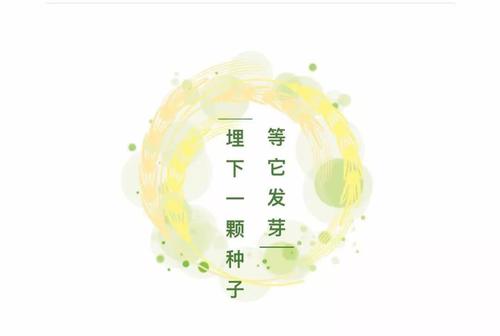 播下种子