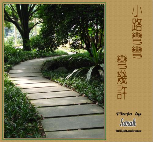 弯曲的路