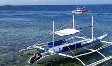 早晨的“交响曲”