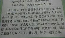 我的老师二三事