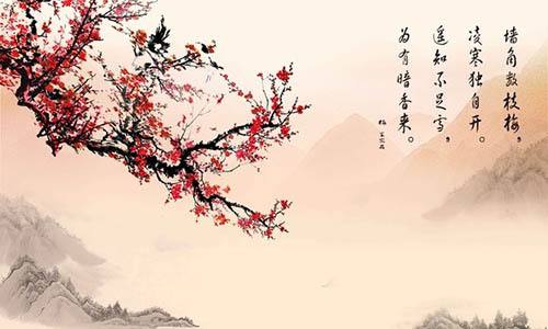 美华和我有协议