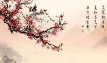 我和梅花有个约定