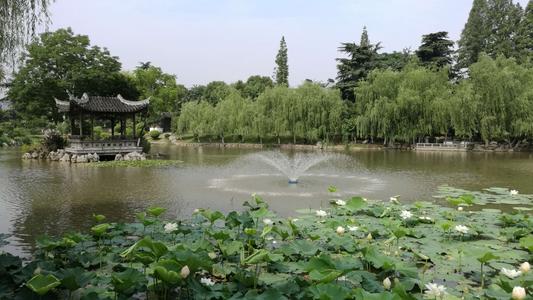 游湖家花园