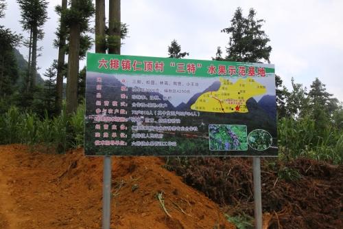 大胆尝试并发挥创造力
