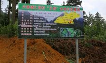 大胆尝试勇于创新