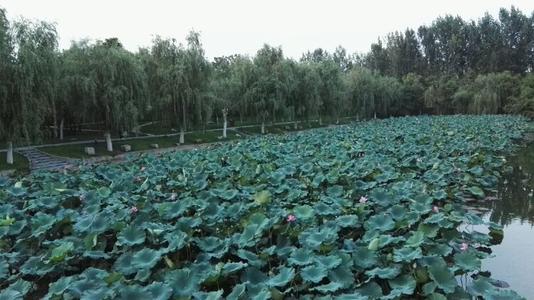 夏天的想法