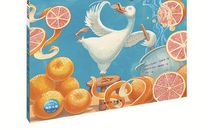 我发现了鸭子的秘密