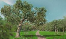 我家乡的春夏秋冬