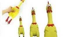 鸡年童话之咕咕鸡的故事