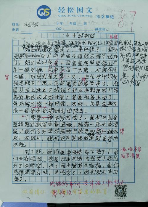 小动物园350字构图