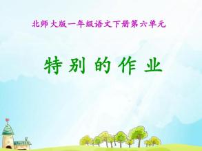 一项特殊任务