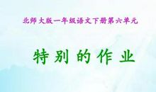 一份特别的作业