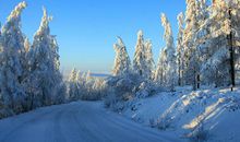 这个冬天一点也不冷