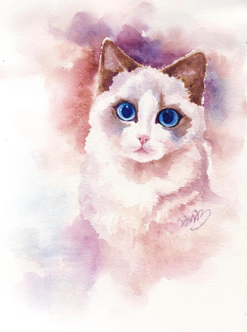 关于阅读《八尾猫：猫莎莎和小王子》的思考