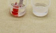 科学探索小实验