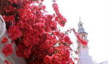 家乡一道红色风景线