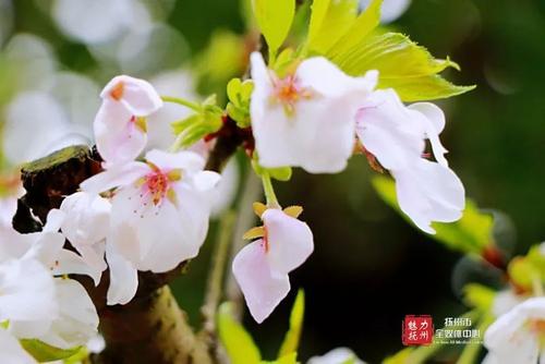 永不缺席