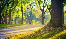 那一道暖人的风景线