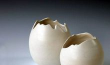 鸡蛋壳的妙用作文