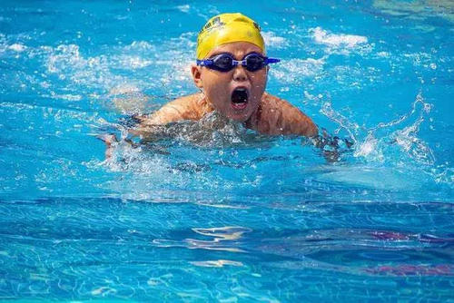 激烈的游泳比赛