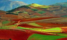 多姿多彩的往事