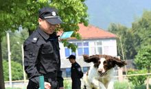 与什么相伴的日子