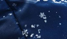 留在雪花中的记忆