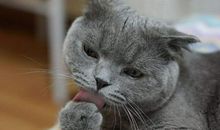 手机，真让我着迷