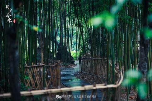生活中有诗