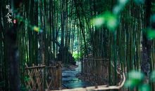 生活之中有诗意