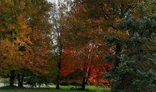 绚丽多彩的秋天