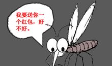 受蚊子折磨