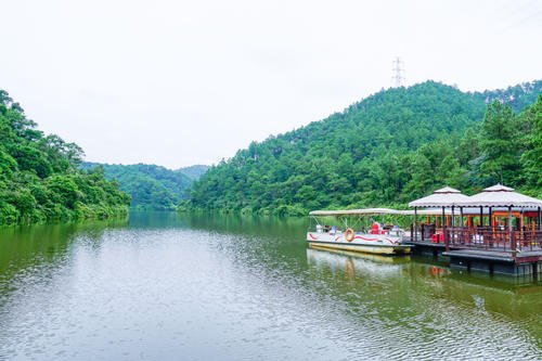 夏天的烦恼