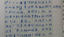 关于背影的作文800字
