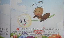 与一只蚂蚁的相遇