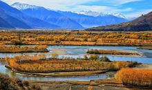 初三最美的风景