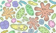 我和细菌做朋友