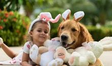 谁来陪伴小主人？