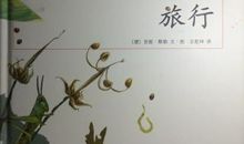 一粒小种子的故事