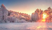 我在冬天里看太阳