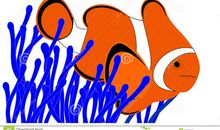 讲礼貌的小丑鱼