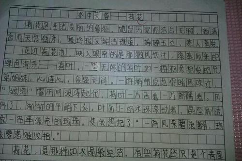 遗憾地写一篇500字的论文