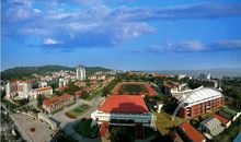 美丽的校园四季