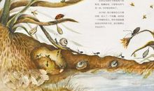 大自然的邀请函