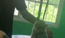 第一次晚上独自上楼