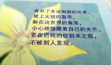 原来我也很努力