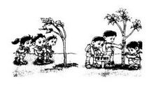 爱护树木看图写话100字