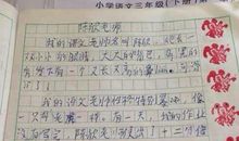 我当了一回小老师作文