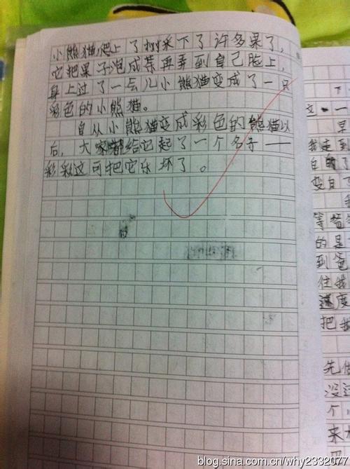 600个单词的结果